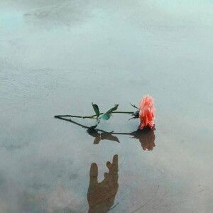 Selvia Febrianti profile icon