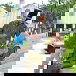 Asyuera Hashim profile icon