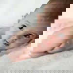 Febby Juwitasari profile icon