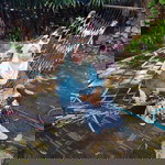 Fateehah Ma'reeduwan profile icon