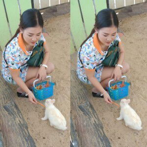 Kanokporn Jetsadaluk profile icon