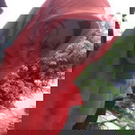 Neng Esha profile icon