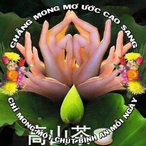 Tuấn Sơn profile icon