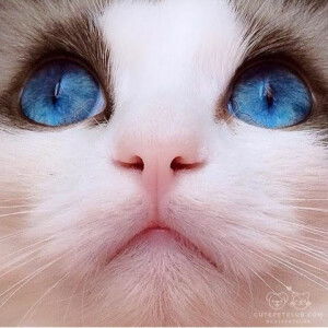 Sherly Dayani profile icon