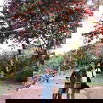 Ditsayarin Vichadee profile icon