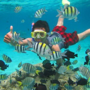 Ndriean Putra Hongler profile icon