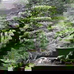 Nie Flo profile icon