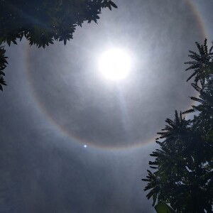 Ku Nook Ky profile icon