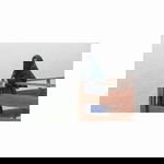 Puspa Aliyani profile icon