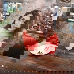 Ann Chai Tham profile icon