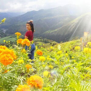 Jessarica May Paguio Frias profile icon