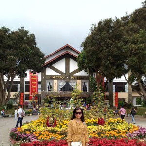 Thoại Nguyễn profile icon