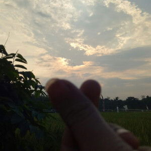 Shella 11731 profile icon