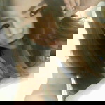 Ik Q Zung profile icon