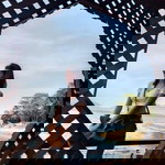 น้อง แต๋ม น้อง แต๋ม profile icon