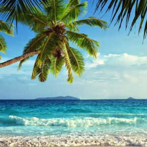 Leah Ruth Llena profile icon