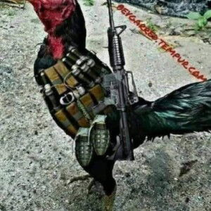 แทน ปากน้ำโพ profile icon