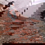 tyara octhy profile icon