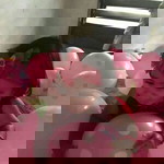 Aiofe Taco David profile icon