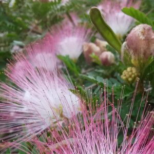 Ini Imaa Kolidiyah profile icon