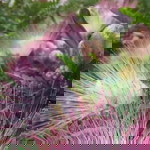 Ini Imaa Kolidiyah profile icon