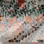 Reni Alfani profile icon