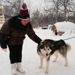 Öîł Buãkrød profile icon