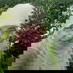 chintya dewi profile icon