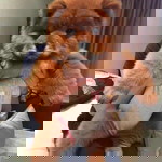 Ine Laid profile icon