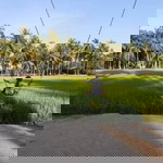 Natasha Mohammad Daud profile icon