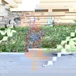 Daphnie Baltazar Lorenzo profile icon