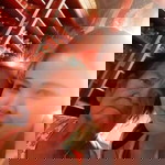 อยู่บ่ได้ เมื่ออ้ายจากไป profile icon