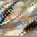 ขนมหวาน วงศ์มั่นกิจการ profile icon