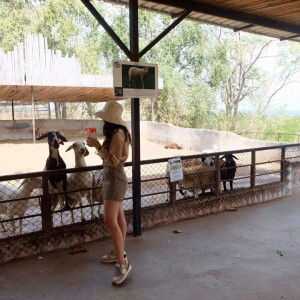 Gee Gee profile icon