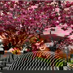 Ristiamalinda profile icon