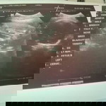 Renalyn Robles profile icon