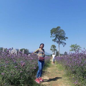 Walee Koi profile icon