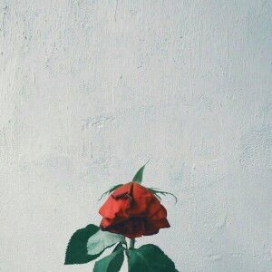 Dea Ayu P profile icon