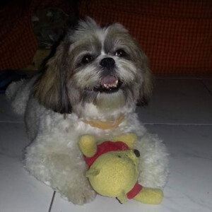 Marj Gabrillo profile icon