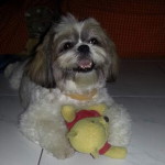 Marj Gabrillo profile icon