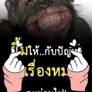 กระต่าย พรรนิพา profile icon