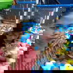 Christina Mae Dominguez Corre profile icon