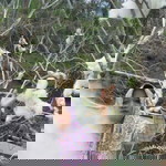 Miedach Siie CwegLebay profile icon