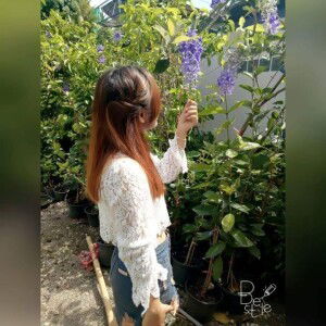 สุภาวดี แก้วช่างเขียน profile icon