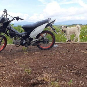 Jong Anggaon profile icon