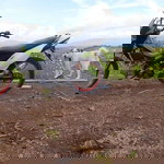 Jong Anggaon profile icon