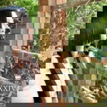 Ao Arada profile icon