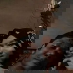 Rohida Ida profile icon