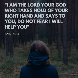 Lyn Samuel profile icon