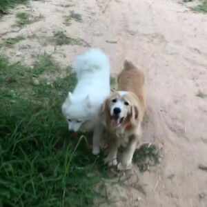 TauLekk KT profile icon